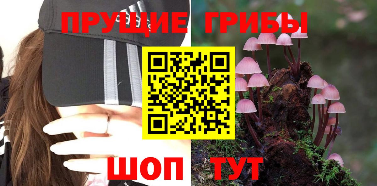 Псилоцибиновые грибы Magic Shrooms  Вход с VPN  Ярославль 