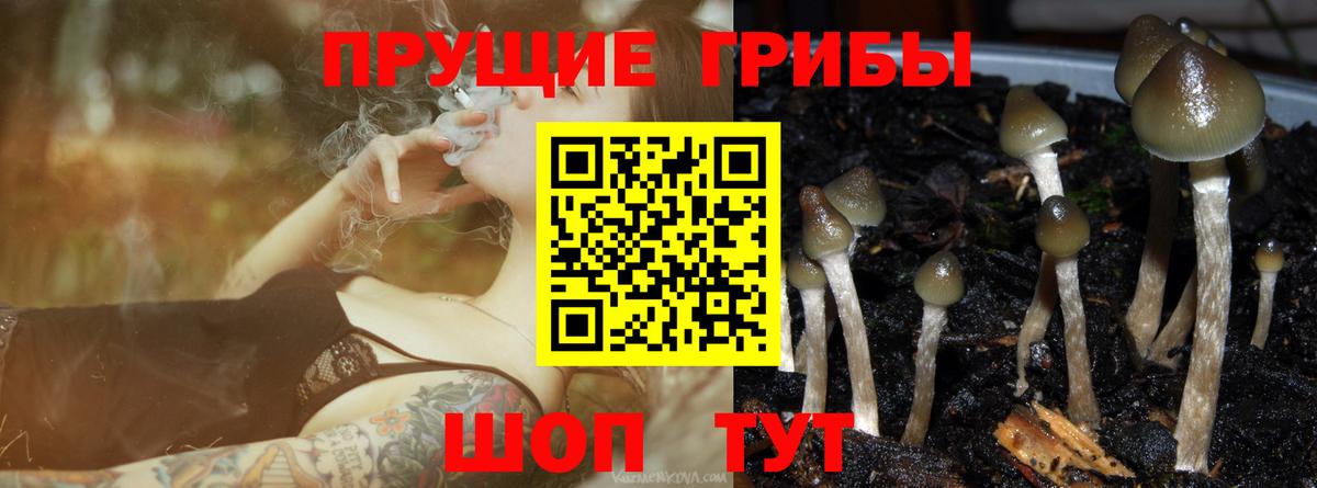 Псилоцибиновые грибы ЛСД Ярославль